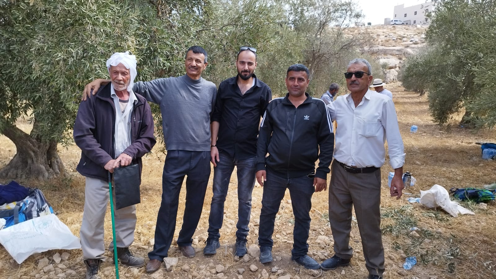 2022 Olive Harvest in at-Tuwani